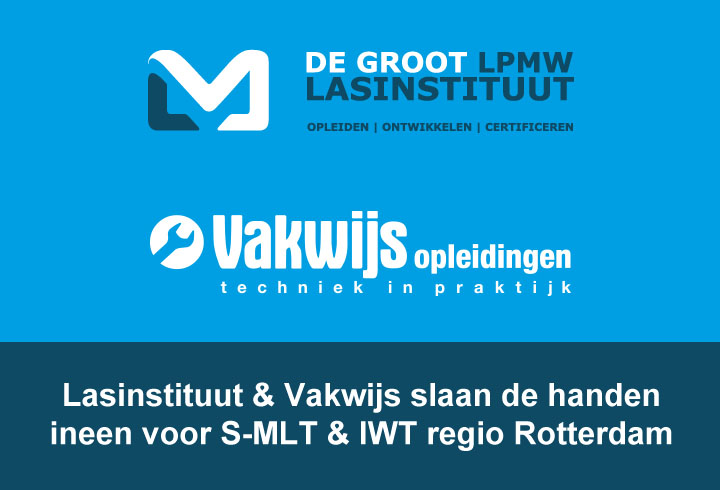 Vakwijs